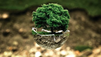 ESG in Construction: 5 Key Strategies for Reducing Environmental Impact