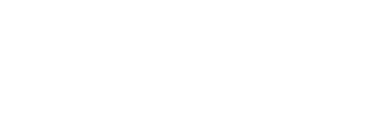 Gordon N Gordon